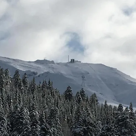Les Myrtilles A 200m Des Pistes Apartament Le Lioran