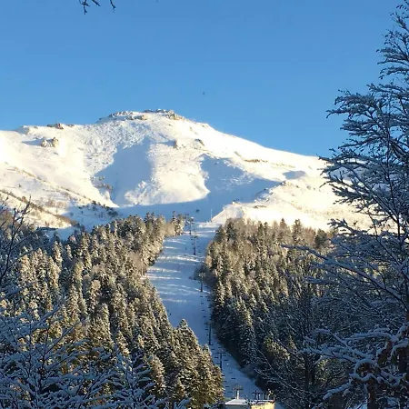 Les Myrtilles A 200m Des Pistes * Le Lioran