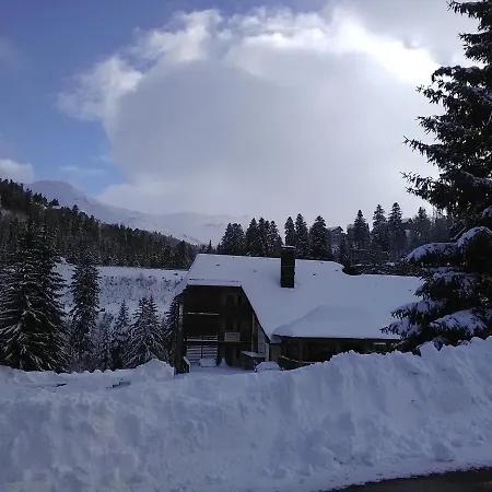 Les Myrtilles A 200m Des Pistes