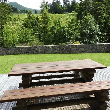 Les Myrtilles A 200m Des Pistes * לה ליאורן