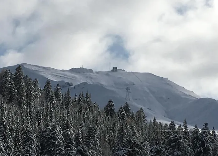 Les Myrtilles A 200m Des Pistes Апартаменты Ле-Лиоран