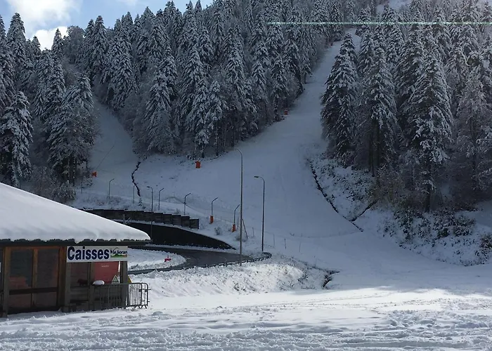 Апартаменты Les Myrtilles A 200m Des Pistes *