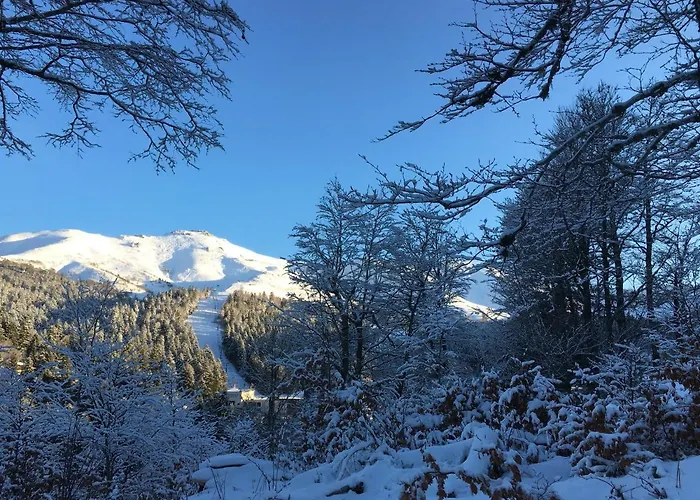 Les Myrtilles A 200m Des Pistes Апартаменты Ле-Лиоран