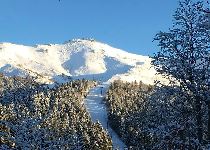 Les Myrtilles A 200m Des Pistes * Ле-Лиоран