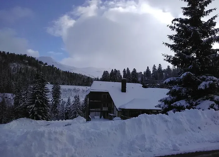 Les Myrtilles A 200m Des Pistes
